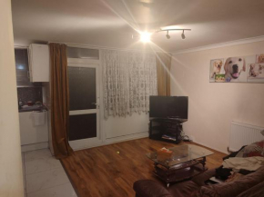 Stunning apartment private garden, London